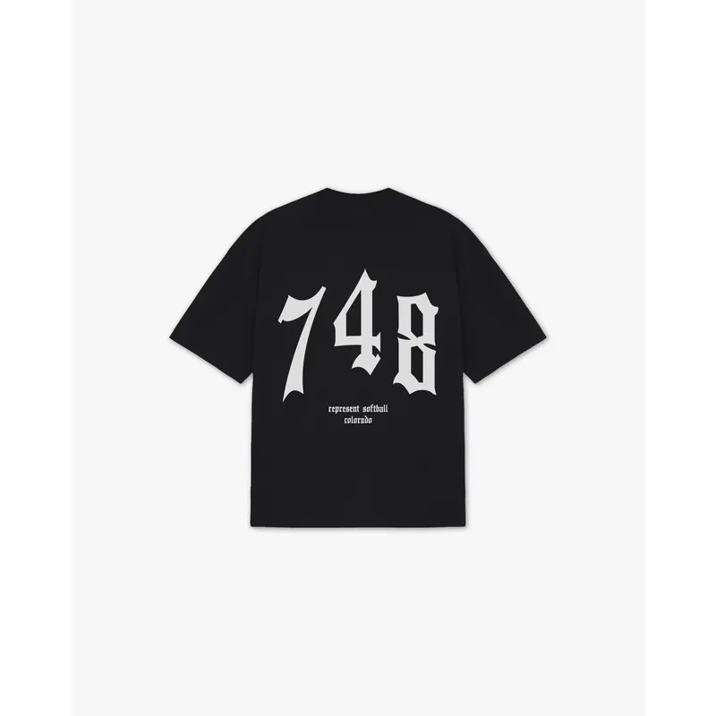 THE (748) VANQUISH SOFTBALL V2 ELITE TEE
