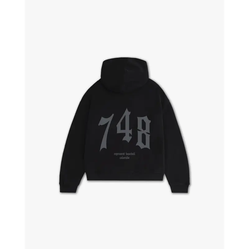 THE (748) VANQUISH BASEBALL ELITE HOODIE