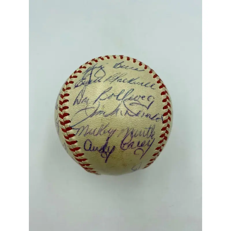 1953 New York Yankees World Series Champs Team Signed Baseball Mickey Mantle JSA