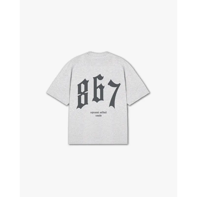 THE (867) VANQUISH SOFTBALL V2 ELITE TEE