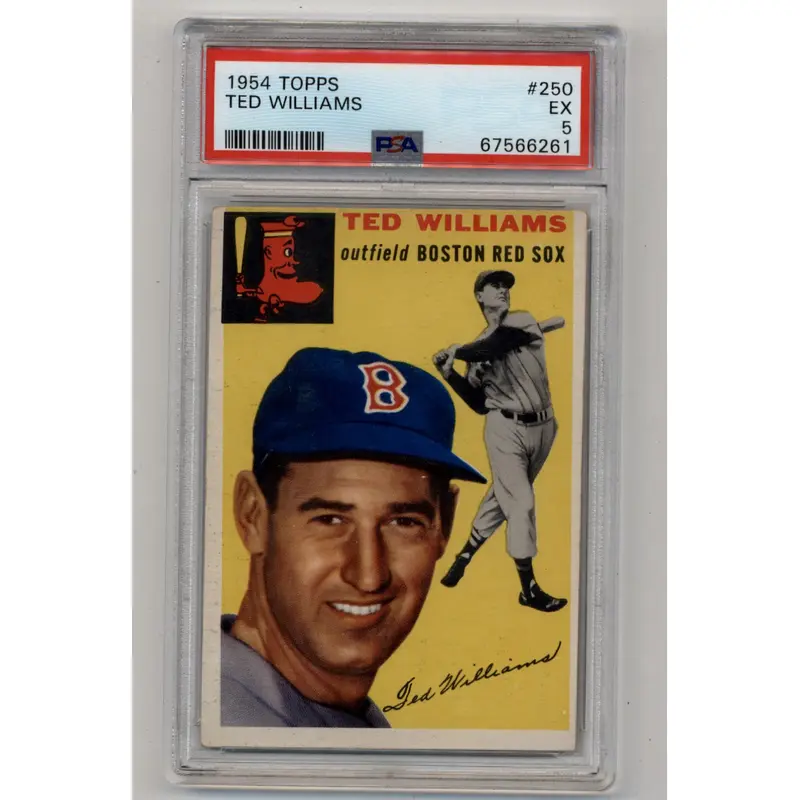 Ted Williams 1954 Topps #250 PSA 5 Excellent 6261