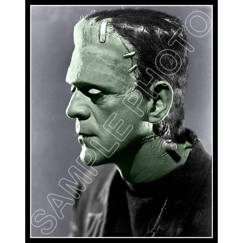 1935 Boris Karloff Colorized 11X14 Photo - Bride Of Frankenstein - 3199