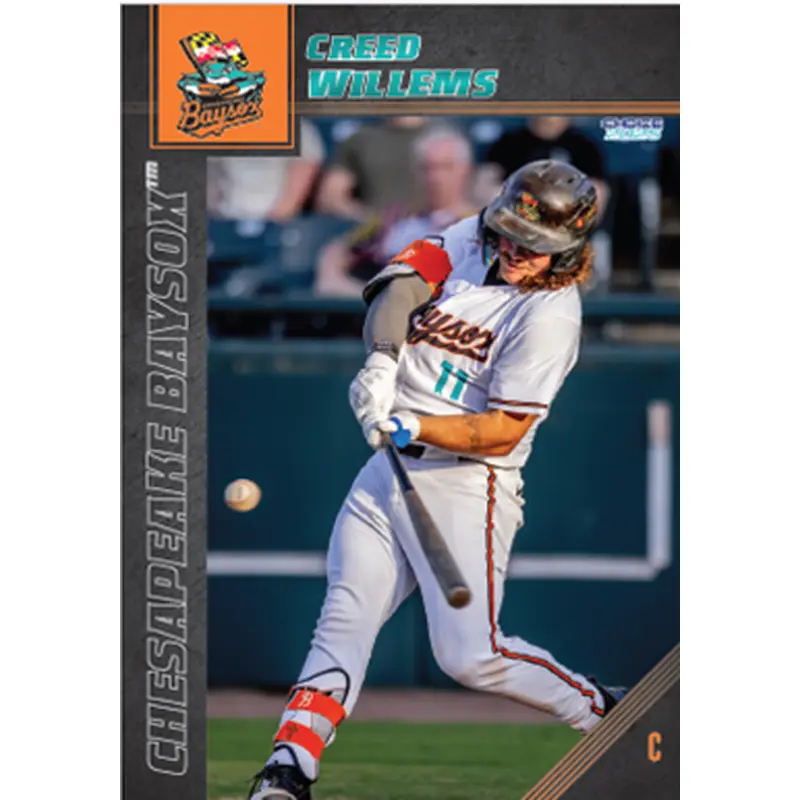 2025 Baysox Baseball Cards Trading Cards Full Team Set