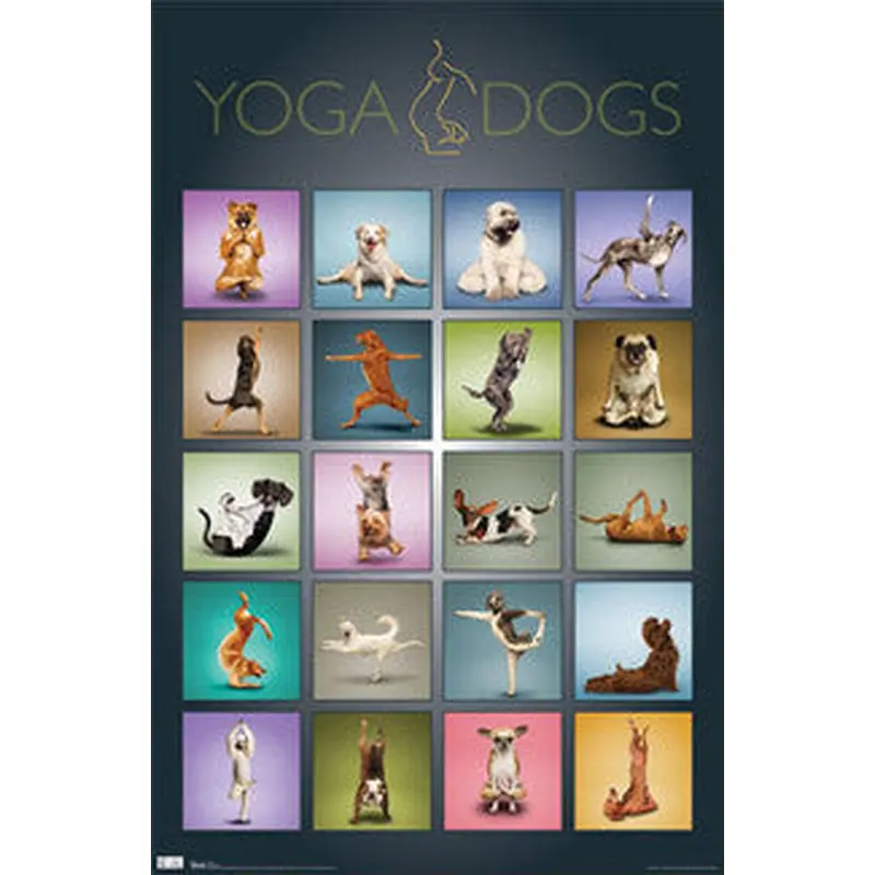 Yoga Dogs Poster - Trends International Inc.