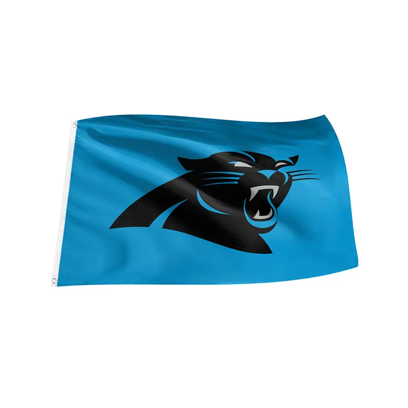 NHL Carolina Panthers 3x5 Flag with Grommets