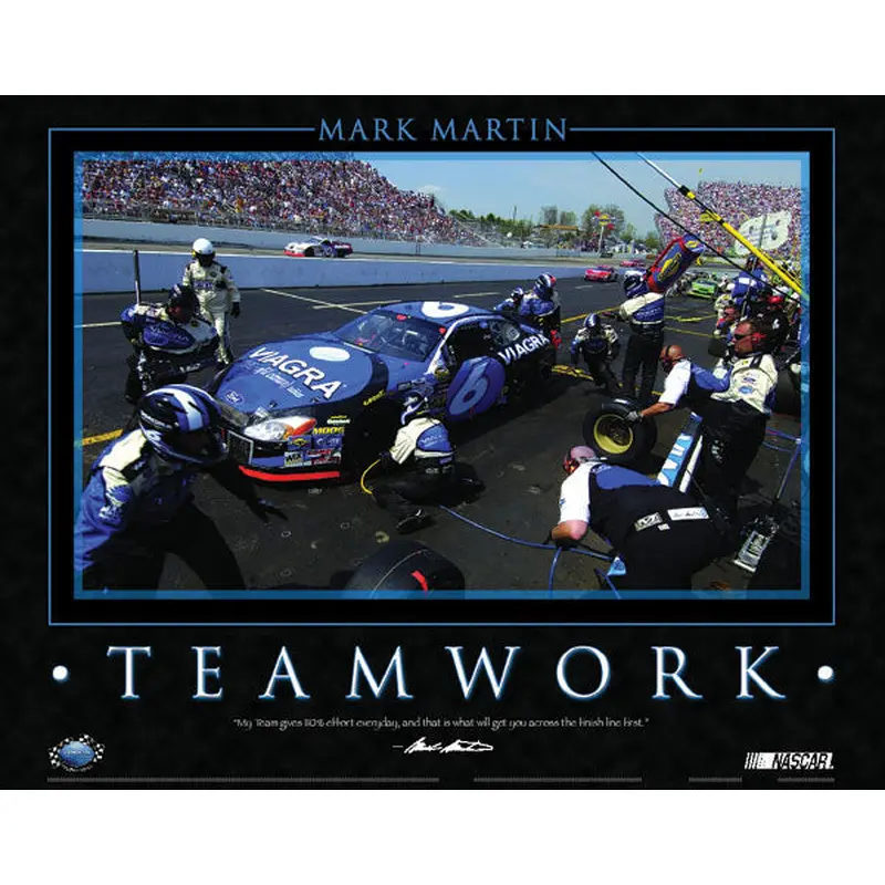 Mark Martin "Teamwork" NASCAR Viagra Ford #6 Poster - Time Factory 2004