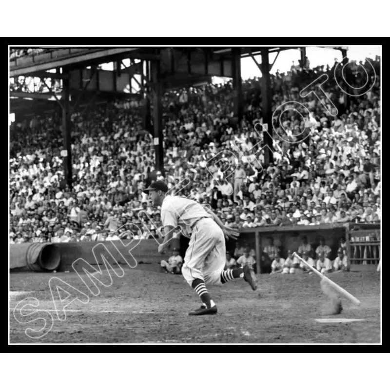 Stan Musial 8X10 Photo - St. Louis Cardinals - 584