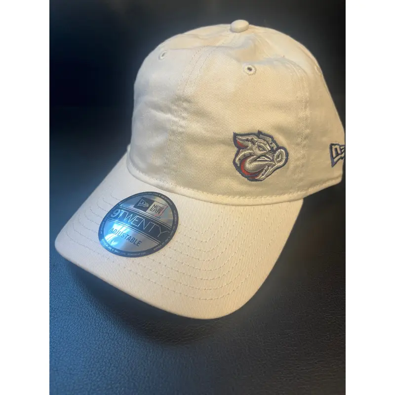 Lehigh Valley IronPigs Court Sport