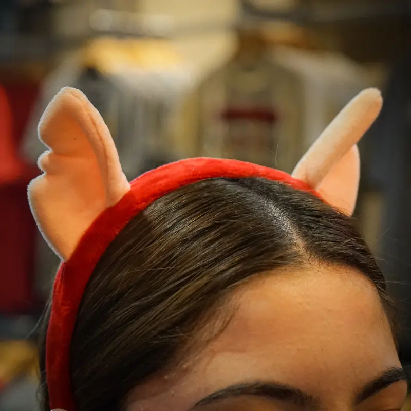 CHIHUAHUAS CHICO EARS