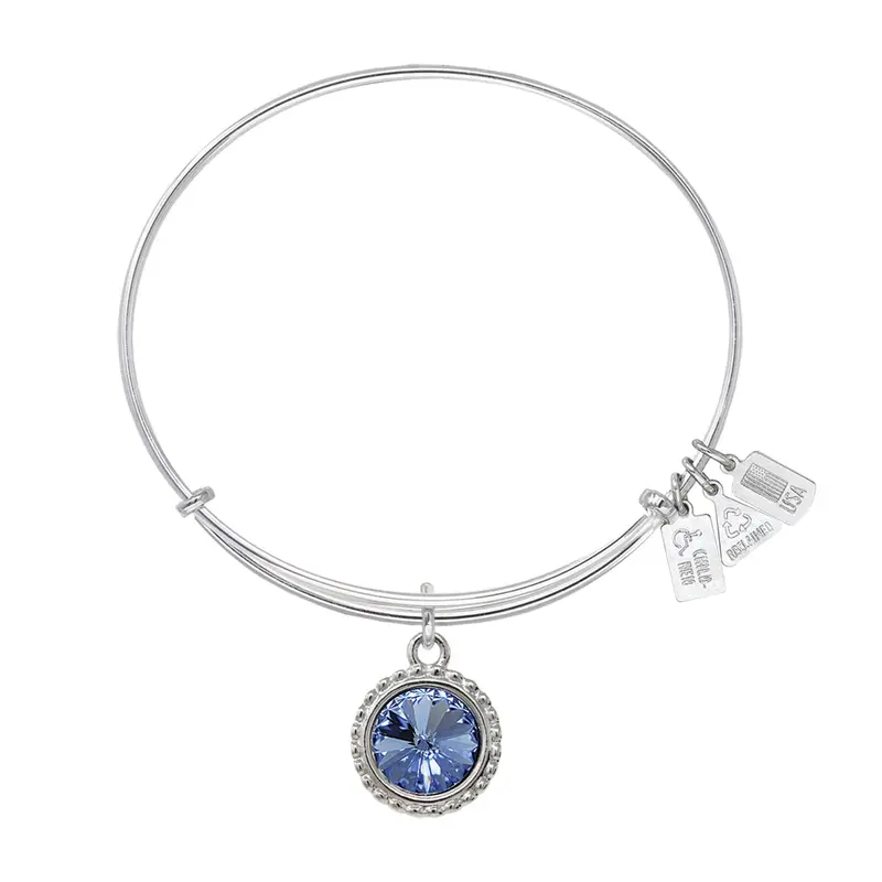 March Birthstone Charm Bangle