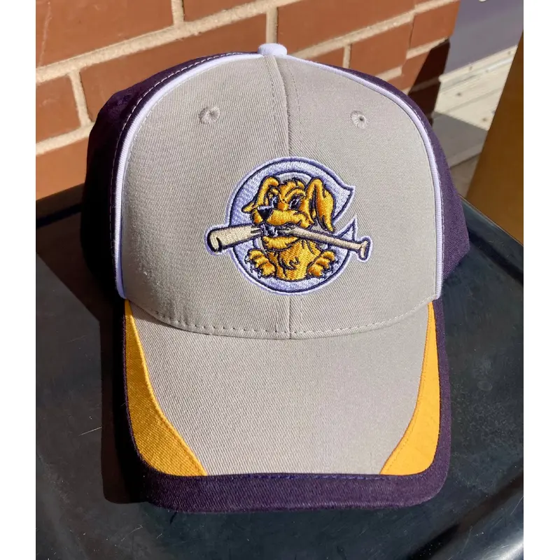 RD Stay Charles Navy and Gray Adj Cap