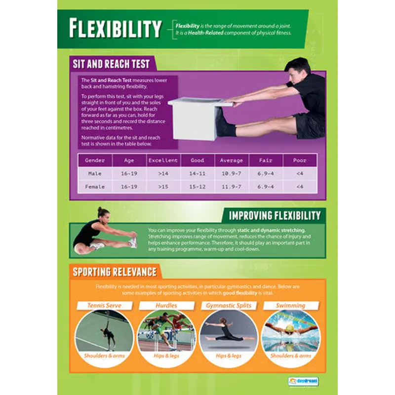 Physical Education FLEXIBILITY Professional Fitness Wall Chart Poster - Posterfit