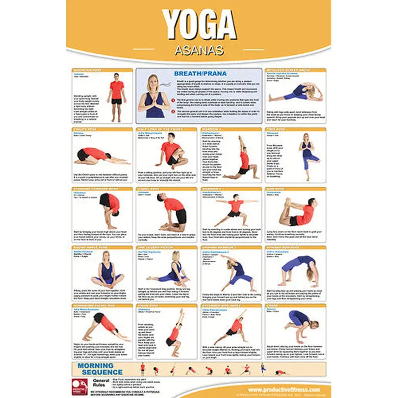 Yoga Fitness Asanas Wall Chart Professional Gym Poster - Productive Fitness