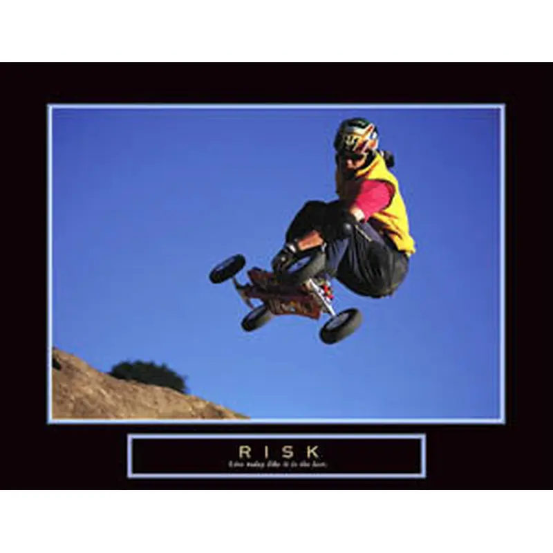 Mountainboarding "Risk" Motivational Poster - Front Line