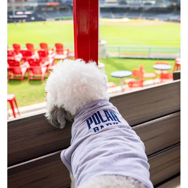 Worcester Red Sox Polar Bark Dog Tee