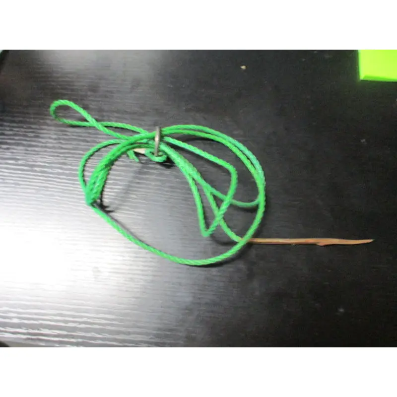 Used Fish Stringer