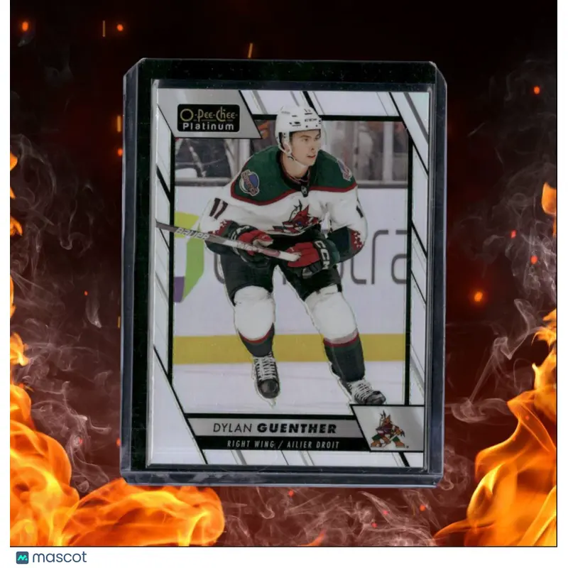 2023-24 O-Pee-Chee Platinum Dylan Guenther Rainbow #60