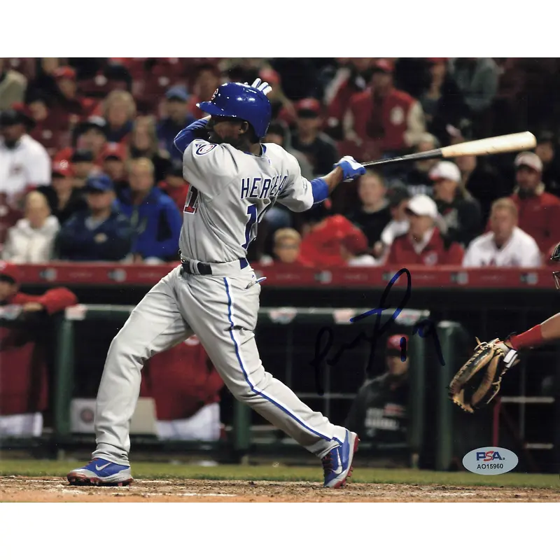 ROSELL HERRERA signed 8x10 photo PSA/DNA Chicago Cubs Autographed