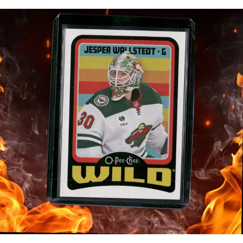 2024-25 O-Pee-Chee Jesper Wallstedt Retro Rookie #541