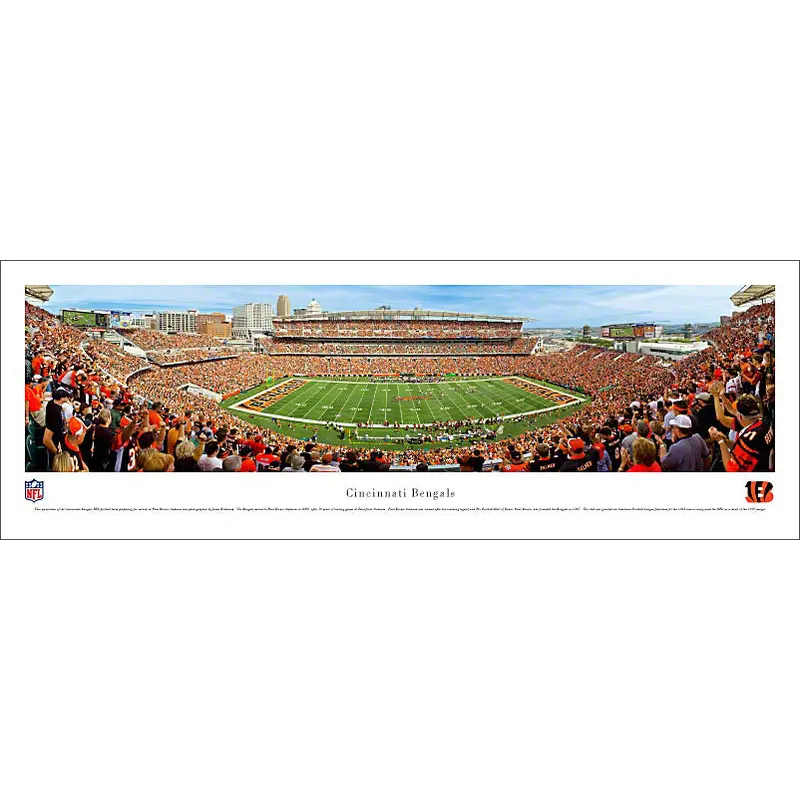 Cincinnati Bengals Gameday Panoramic Poster Print - Blakeway Worldwide