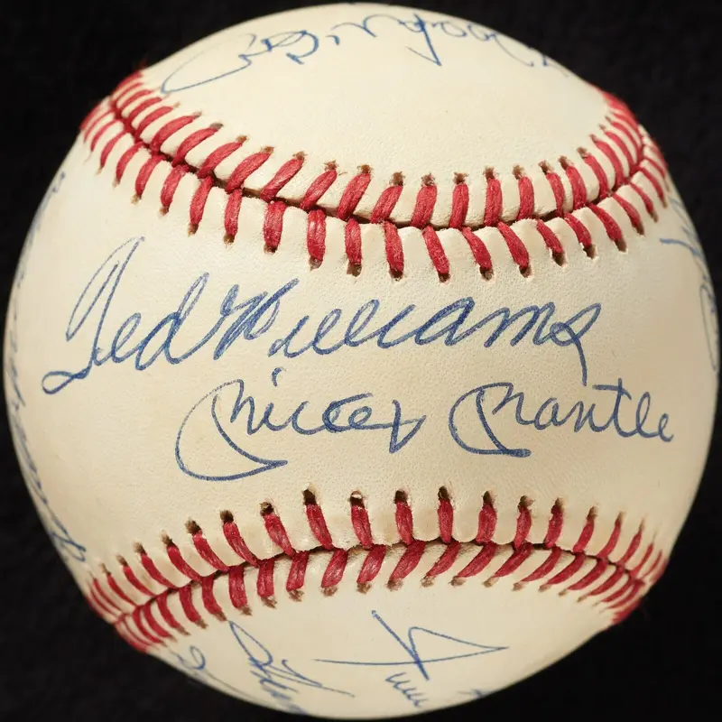 500 Home Run Signed Baseball PSA DNA MINT 9 Mickey Mantle Ted Williams 11 Sigs