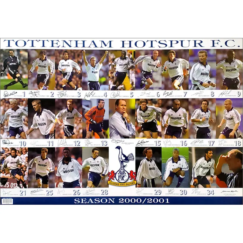 Tottenham Hotspur 2000-2001 Team Game Action Poster - U.K. Posters