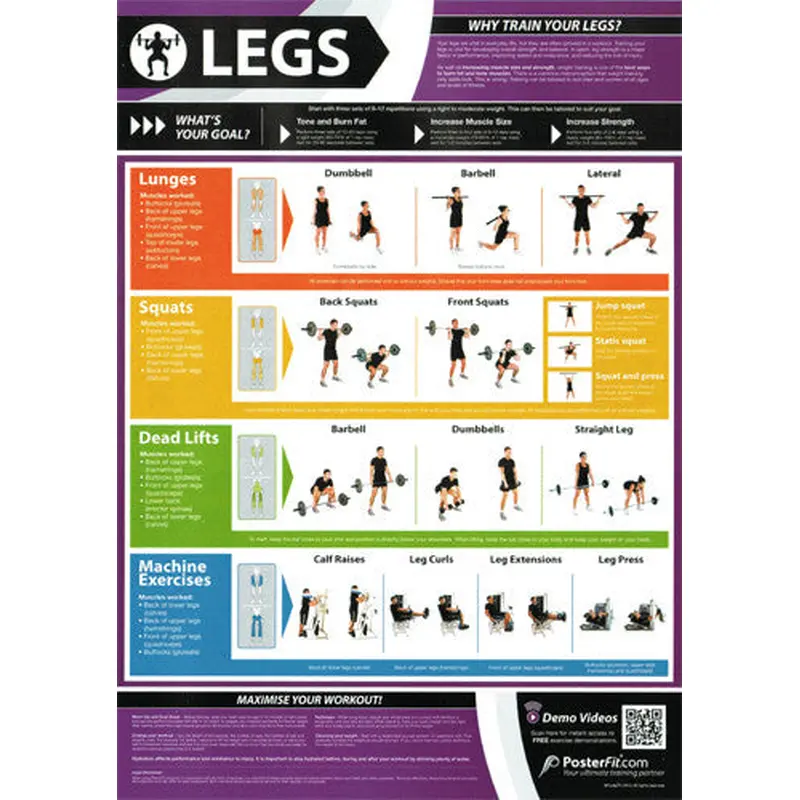 Legs Workout Professional Fitness Training Wall Chart Poster (w/QR Code) - PosterFit