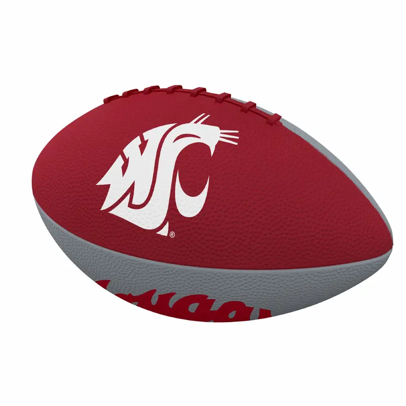 Washington State Pinwheel Junior Size Rubber Football