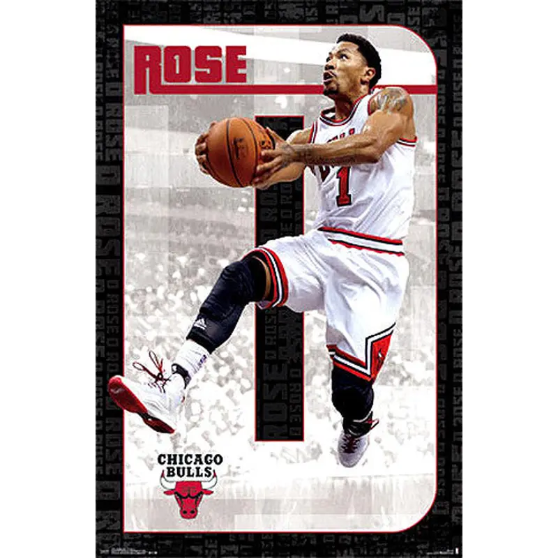 Derrick Rose "Drive" Chicago Bulls NBA Basketball Action Poster - Costacos 2014