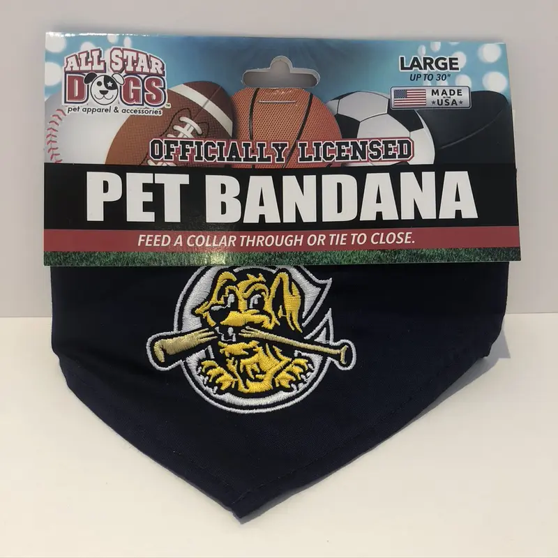 Dog Bandana RD