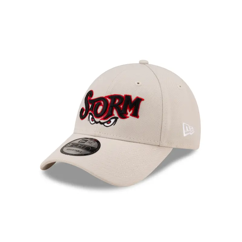 Lake Elsinore Storm New Wordmark Stone 940