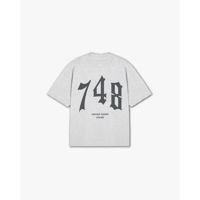 THE (748) VANQUISH BASEBALL V2 ELITE TEE