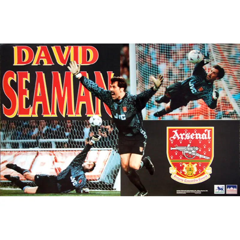 David Seaman "Highbury Glory" Aresnal FC Goalkeeper Poster - Starline 1995