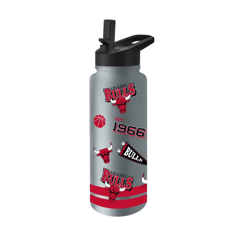 Chicago Bulls 34oz Stone TJ Maxx Native Quencher Bottle