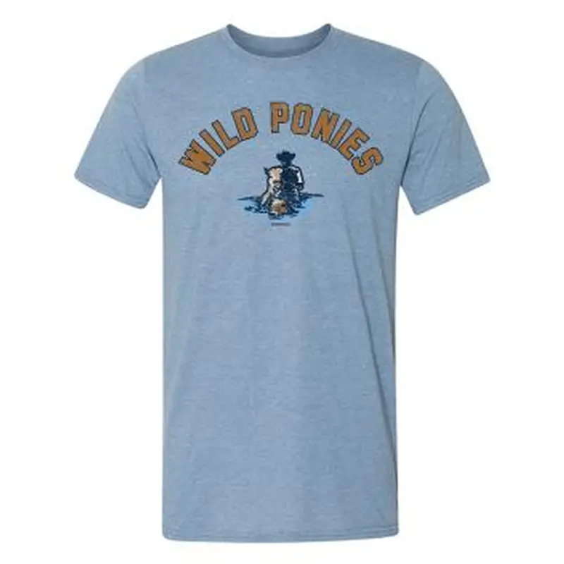 Delmarva Shorebirds 108 Stitches Wild Ponies Game Day Tee