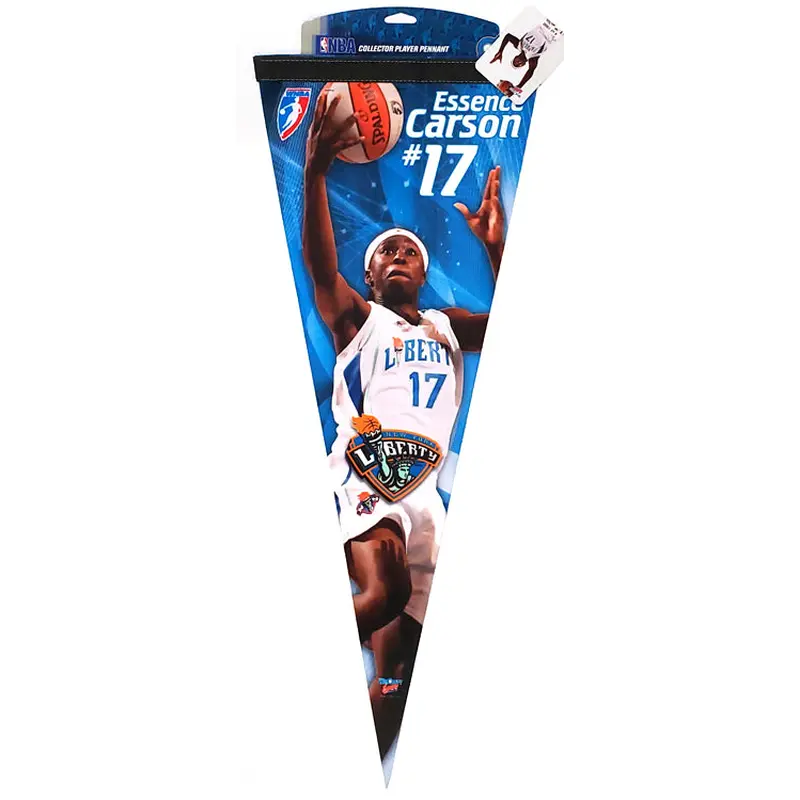Essence Carson New York Liberty WNBA Superstar Premium Felt Pennant - Wincraft 2011