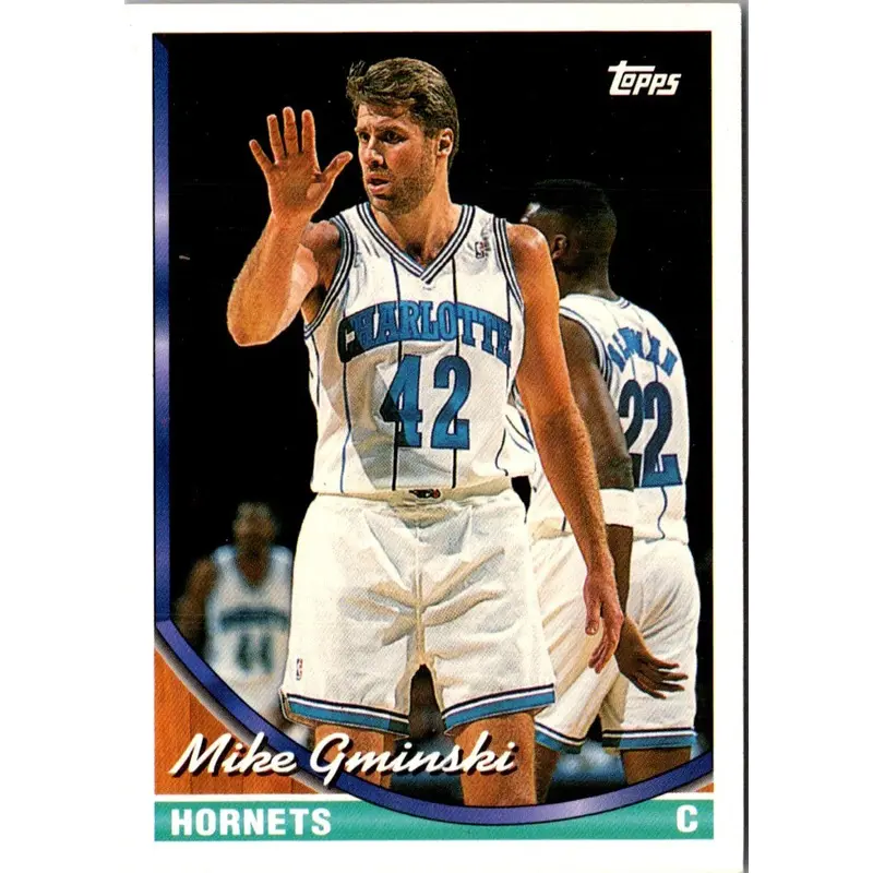 1993 Topps Mike Gminski #339