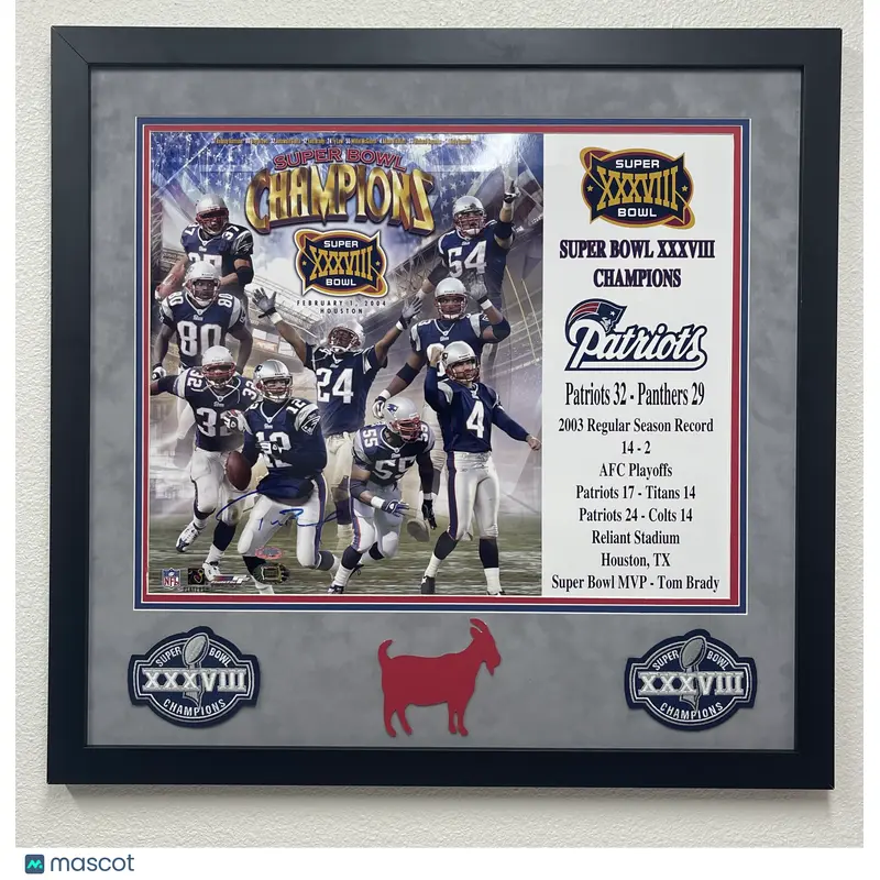 Tom Brady Signed Custom Framed 16x20 Photo TRISTAR Authentic Patriots